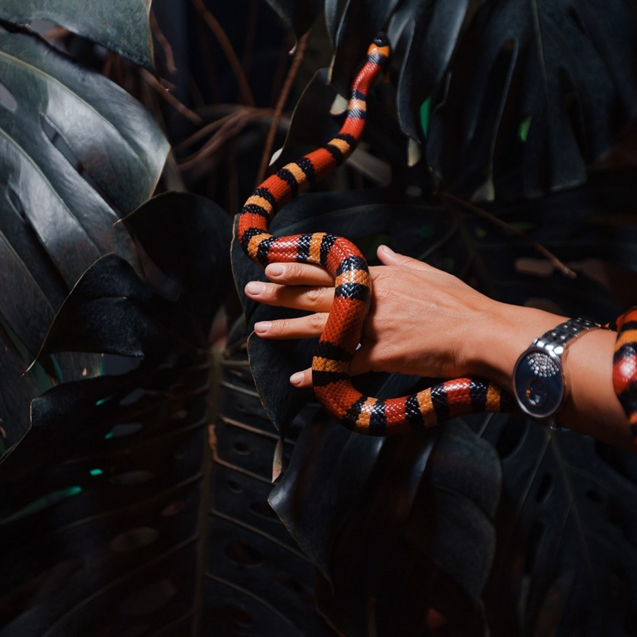 Отзывы. Репортажный фотограф Андрей Герасимов