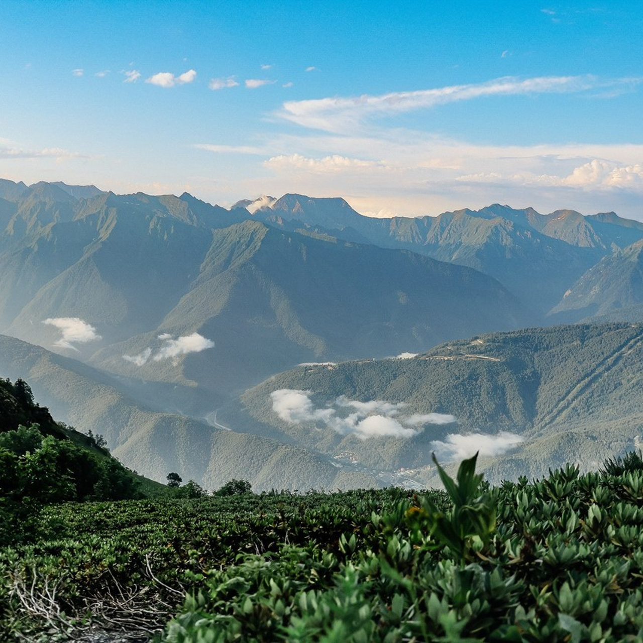 Отзывы. Репортажный фотограф Андрей Герасимов