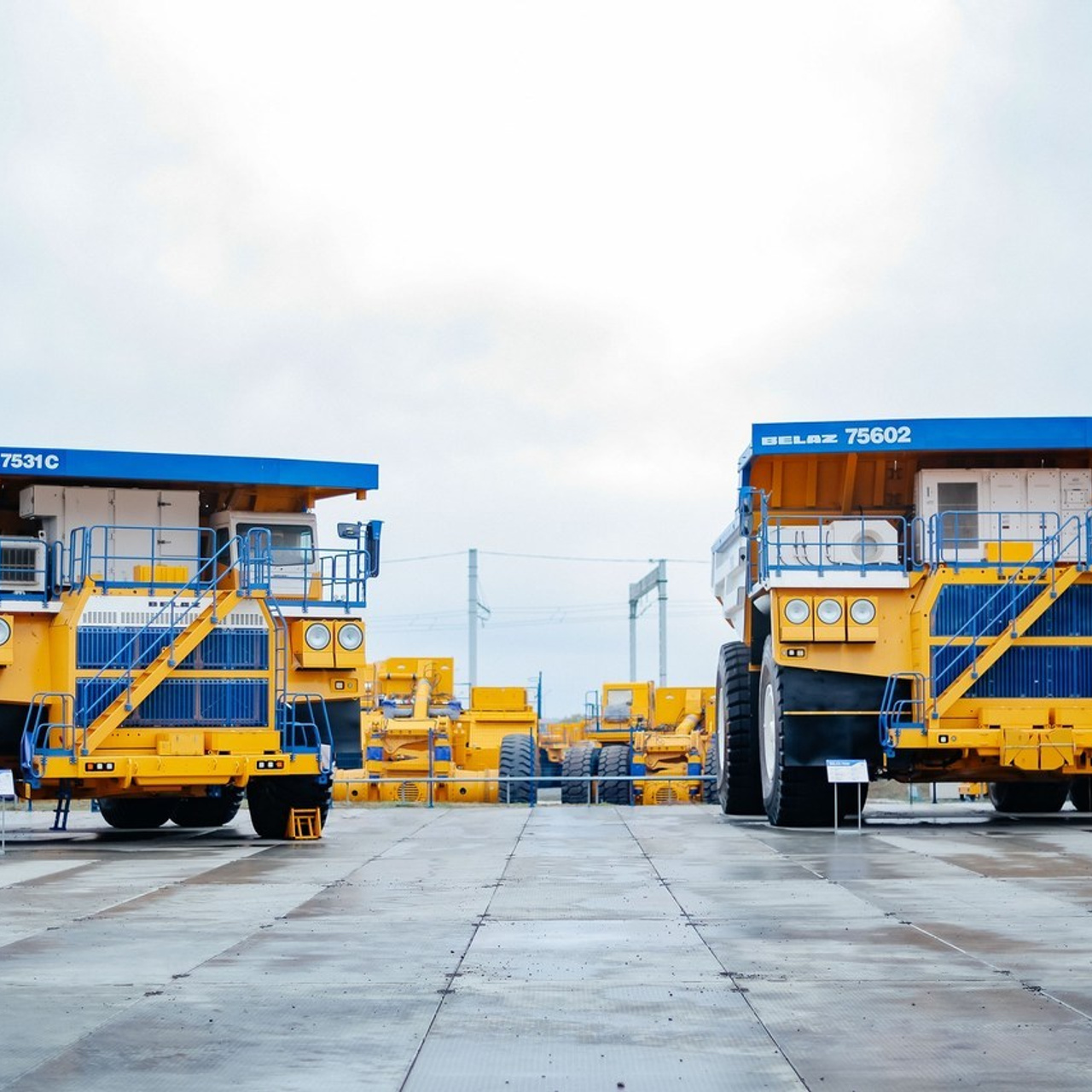 Отзывы. Репортажный фотограф Андрей Герасимов