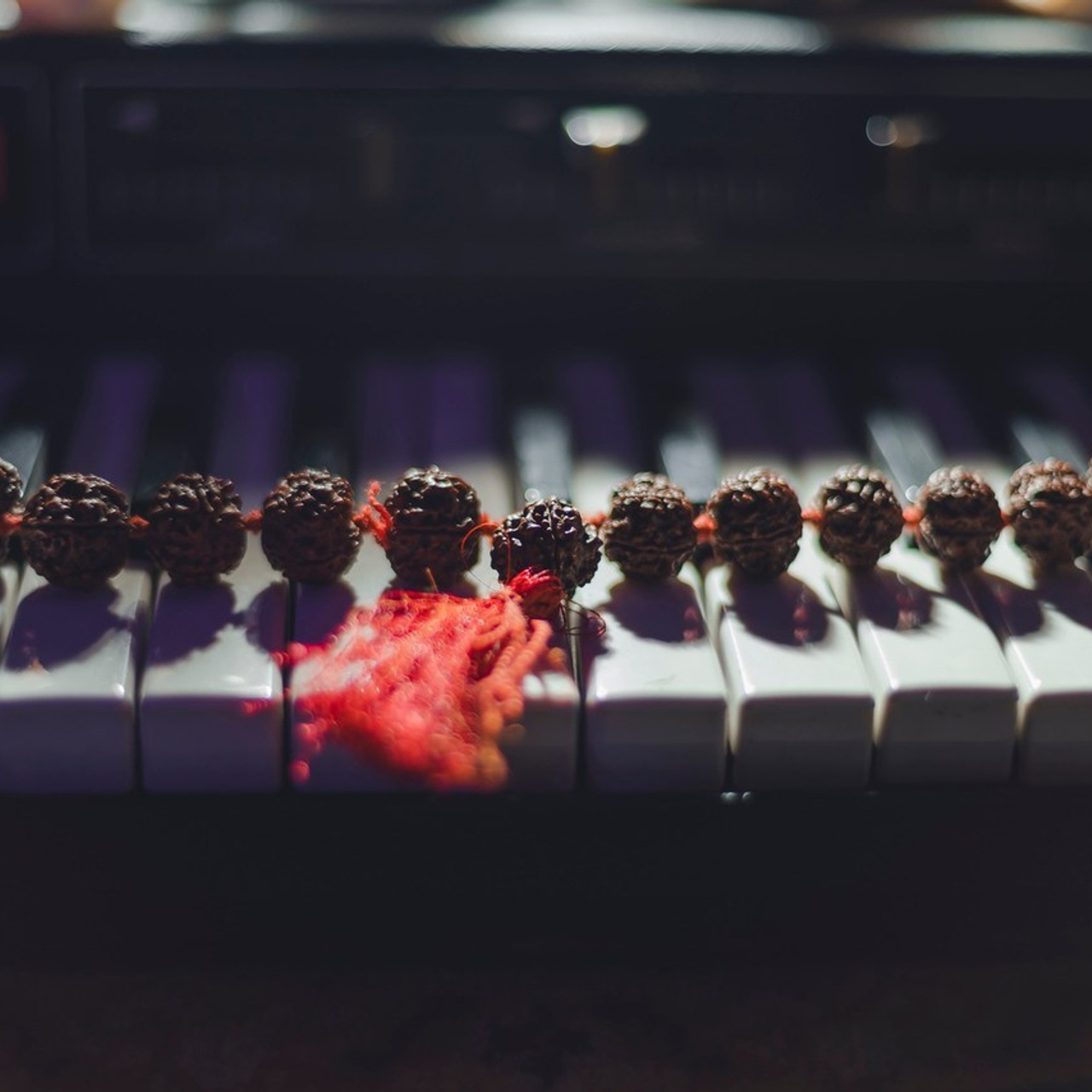 Отзывы. Репортажный фотограф Андрей Герасимов