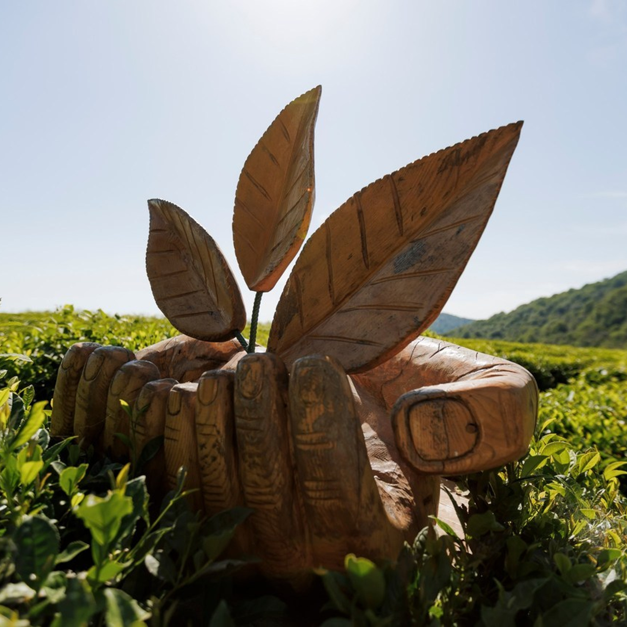 Отзывы. Репортажный фотограф Андрей Герасимов