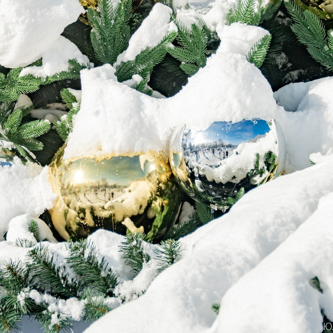 Отзывы. Главная