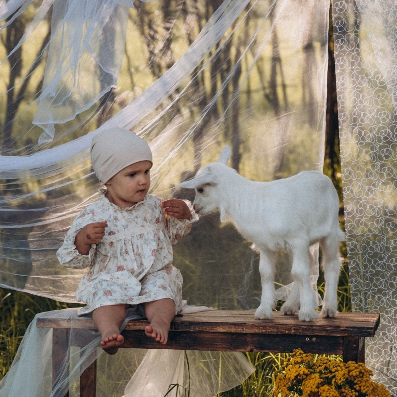 Отзывы. Семейный фотограф Нижневартовск Тюмень Ефимова Ирина