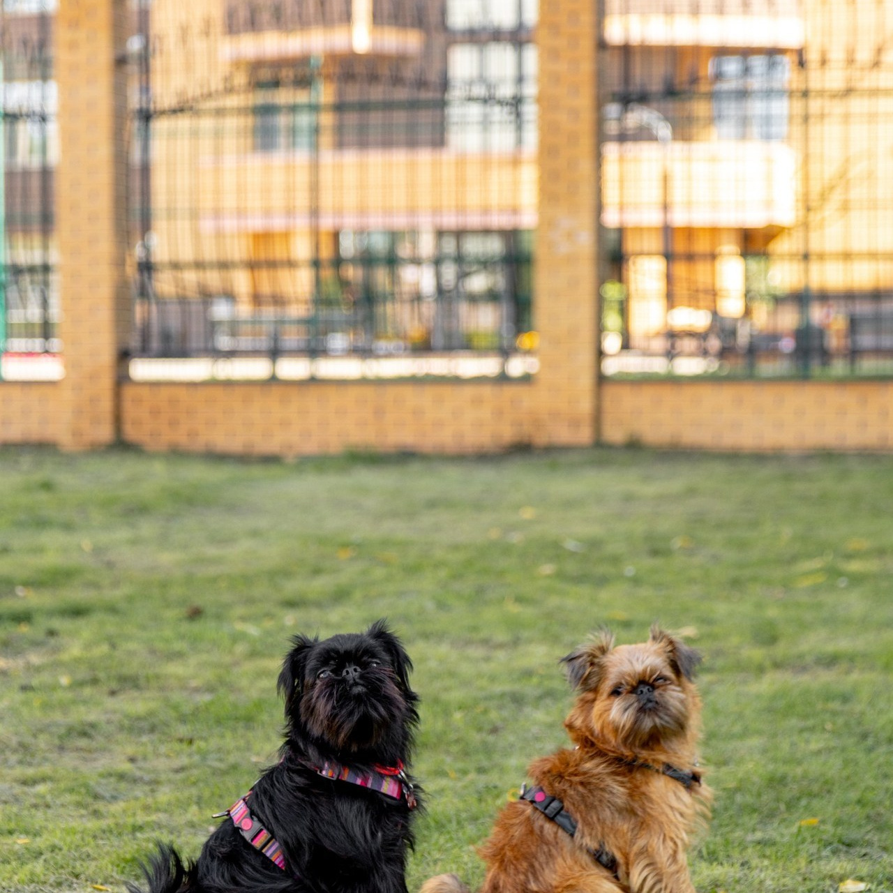 Отзывы клиентов. Фотограф Тюмень Мельникова Александра