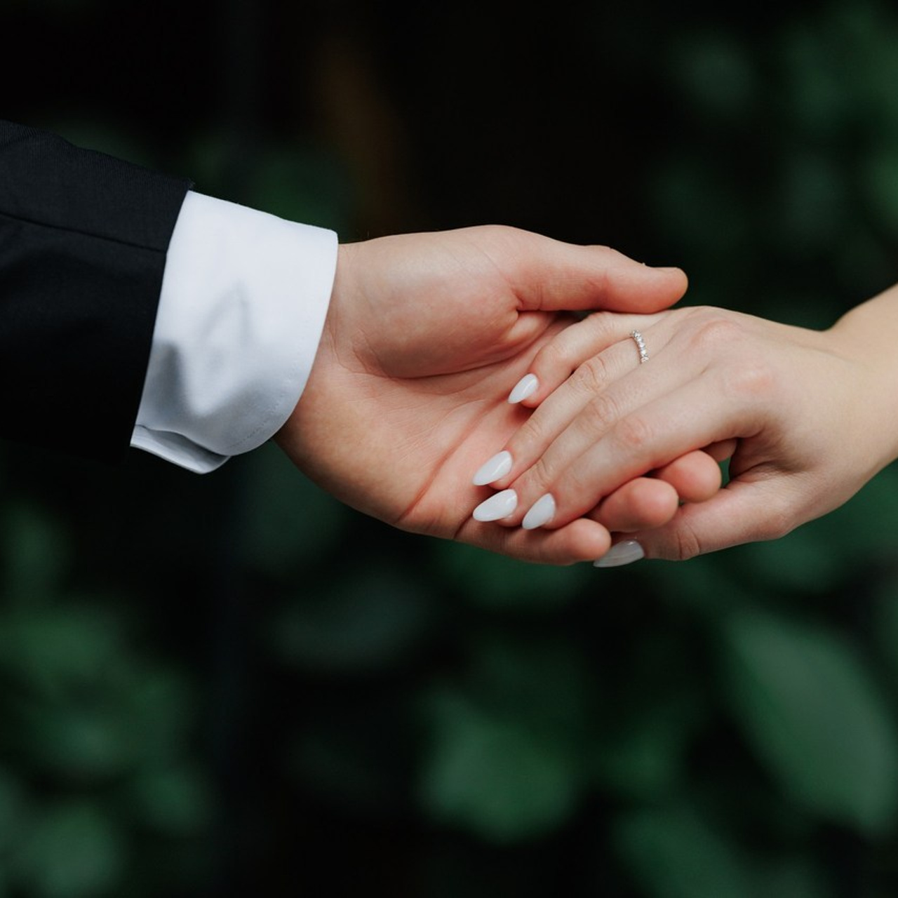 Отзывы. Свадебный фотограф в Махачкале Джалил Мамаев