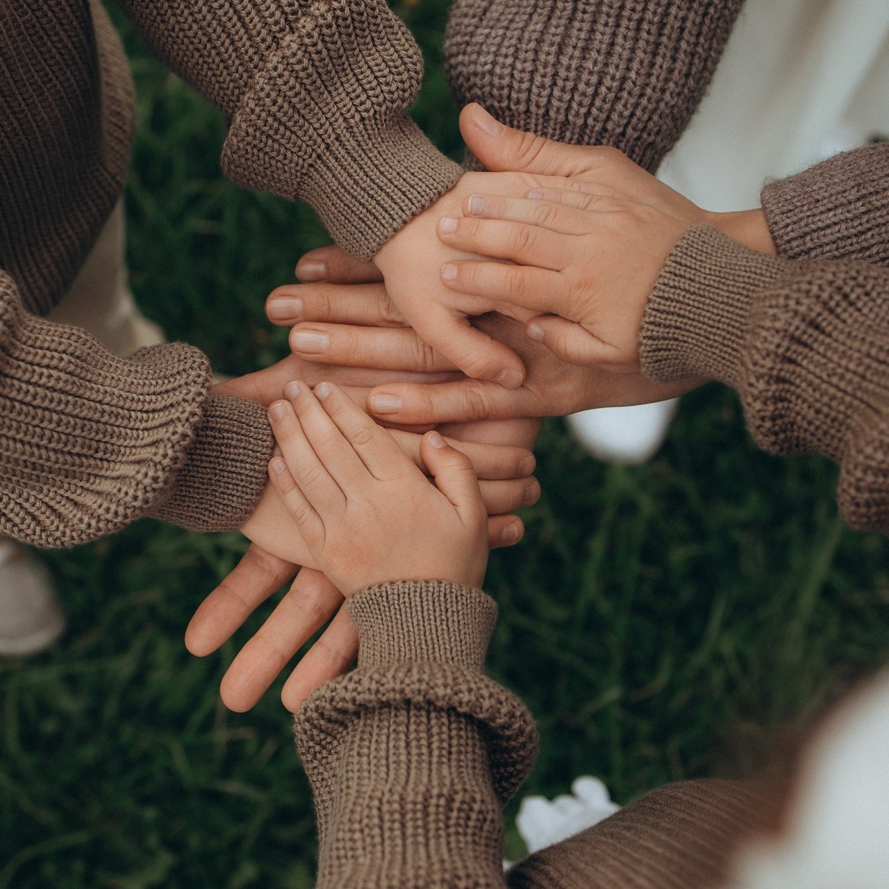 Отзывы. Алина Толбаева — семейный и детский фотограф в Москве