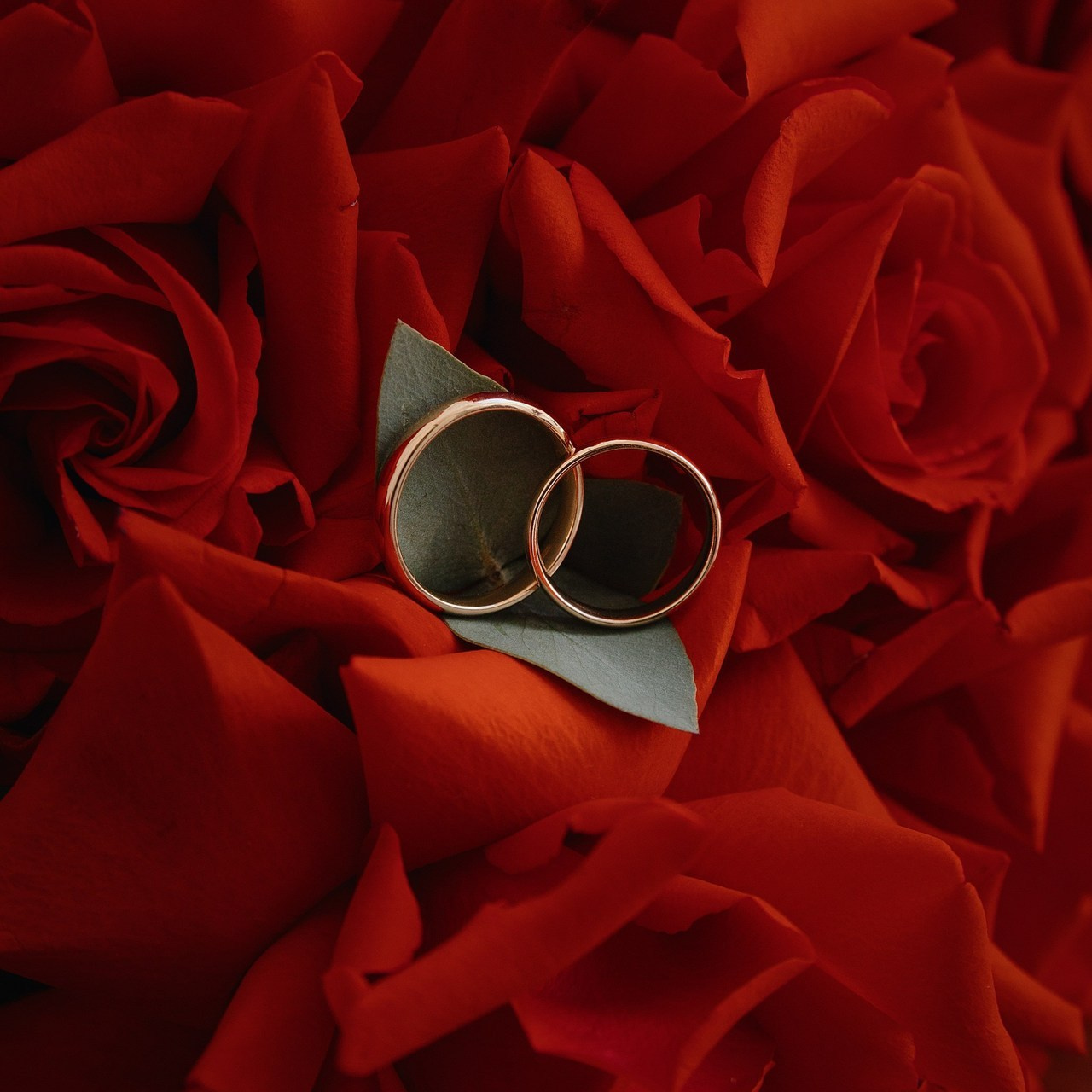 Отзывы. Репортажный фотограф в Самаре