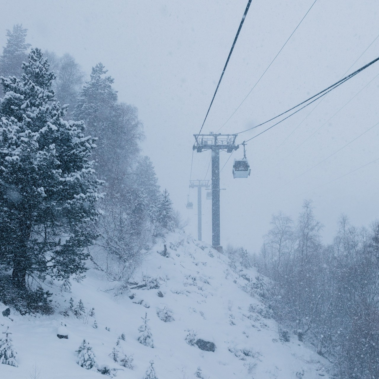 Отзывы. Репортажный фотограф в Самаре