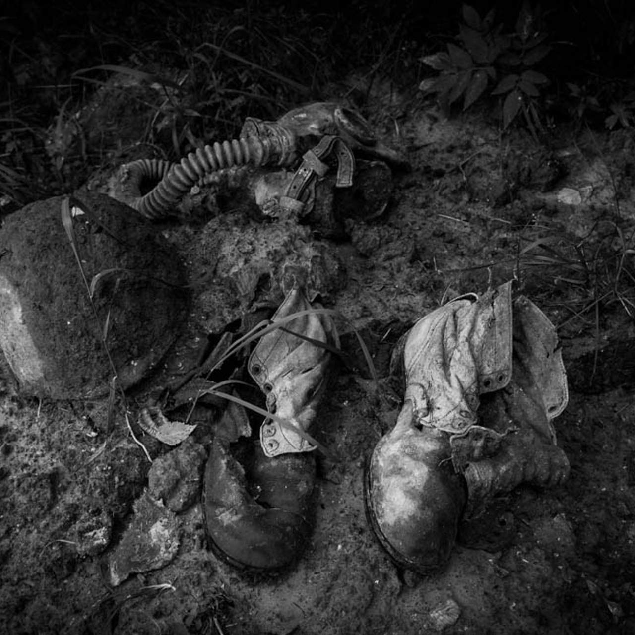 По полям, лесам и болотам. Фотограф Вероника Костюхина