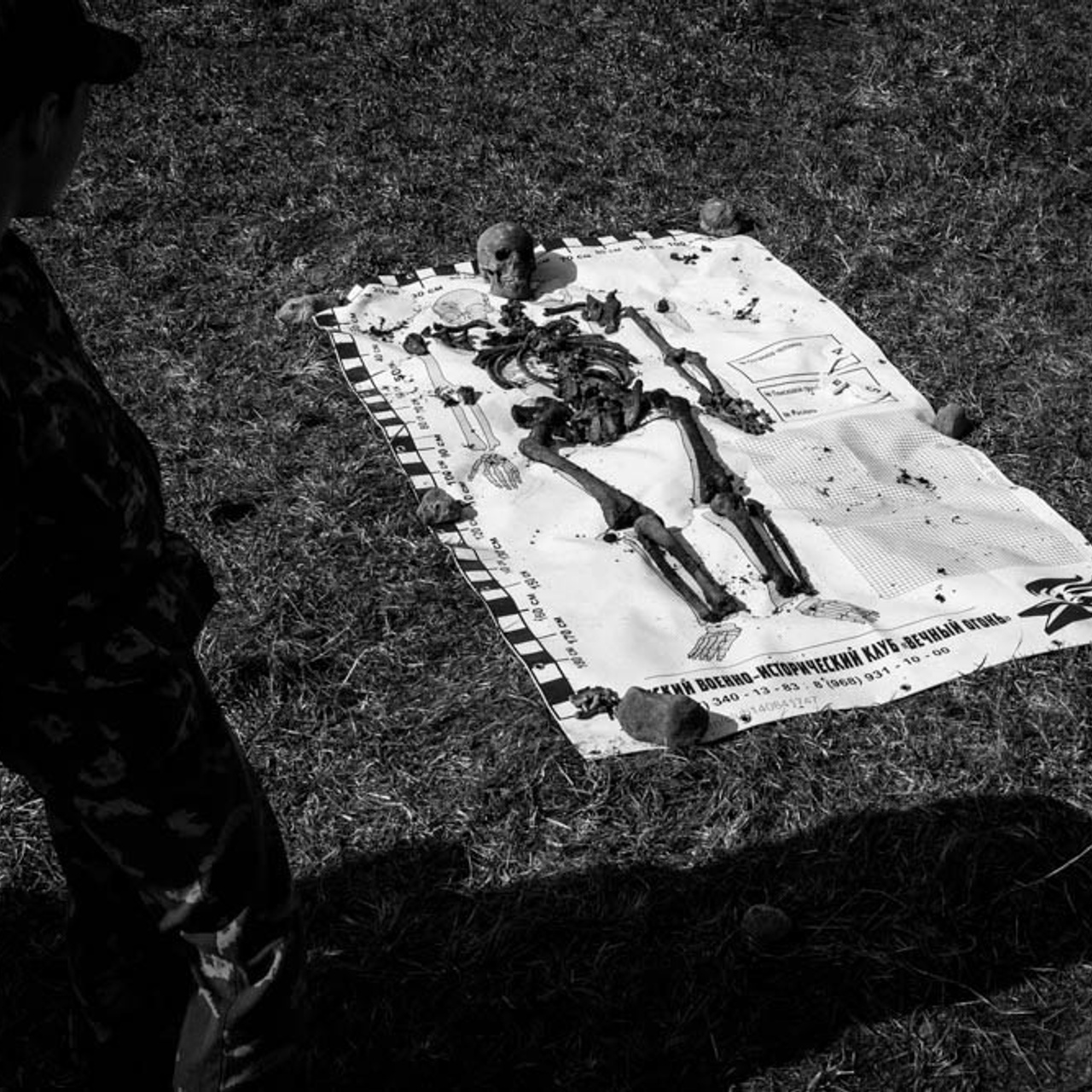 По полям, лесам и болотам. Фотограф Вероника Костюхина