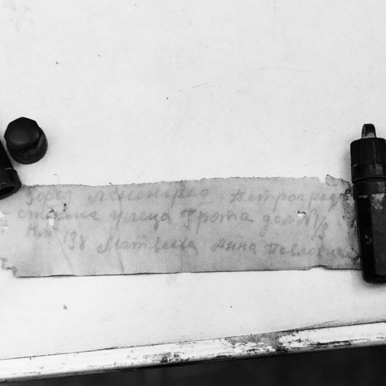 По полям, лесам и болотам. Фотограф Вероника Костюхина