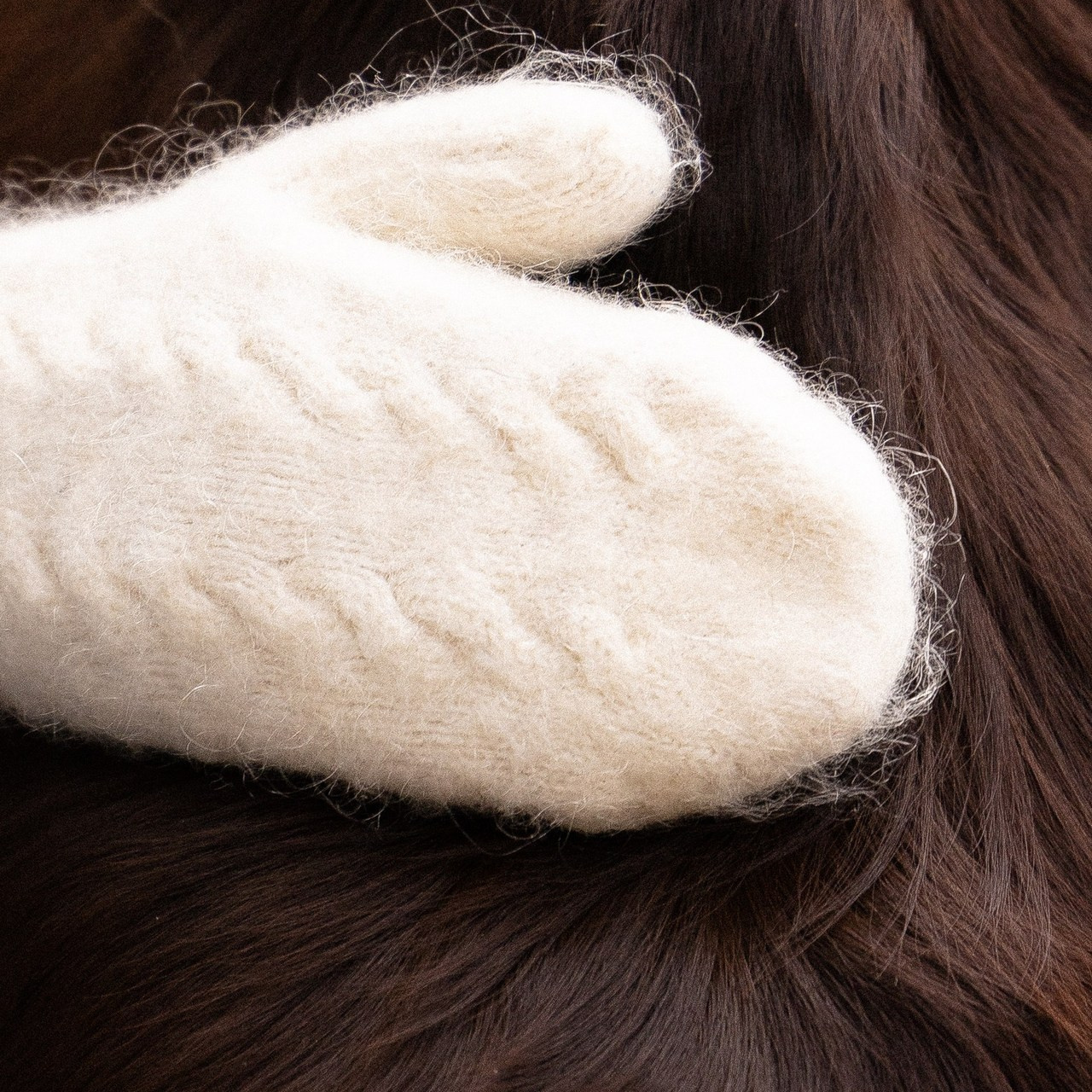 Отзывы. Фотограф и видеограф анималист Аганина Дарья