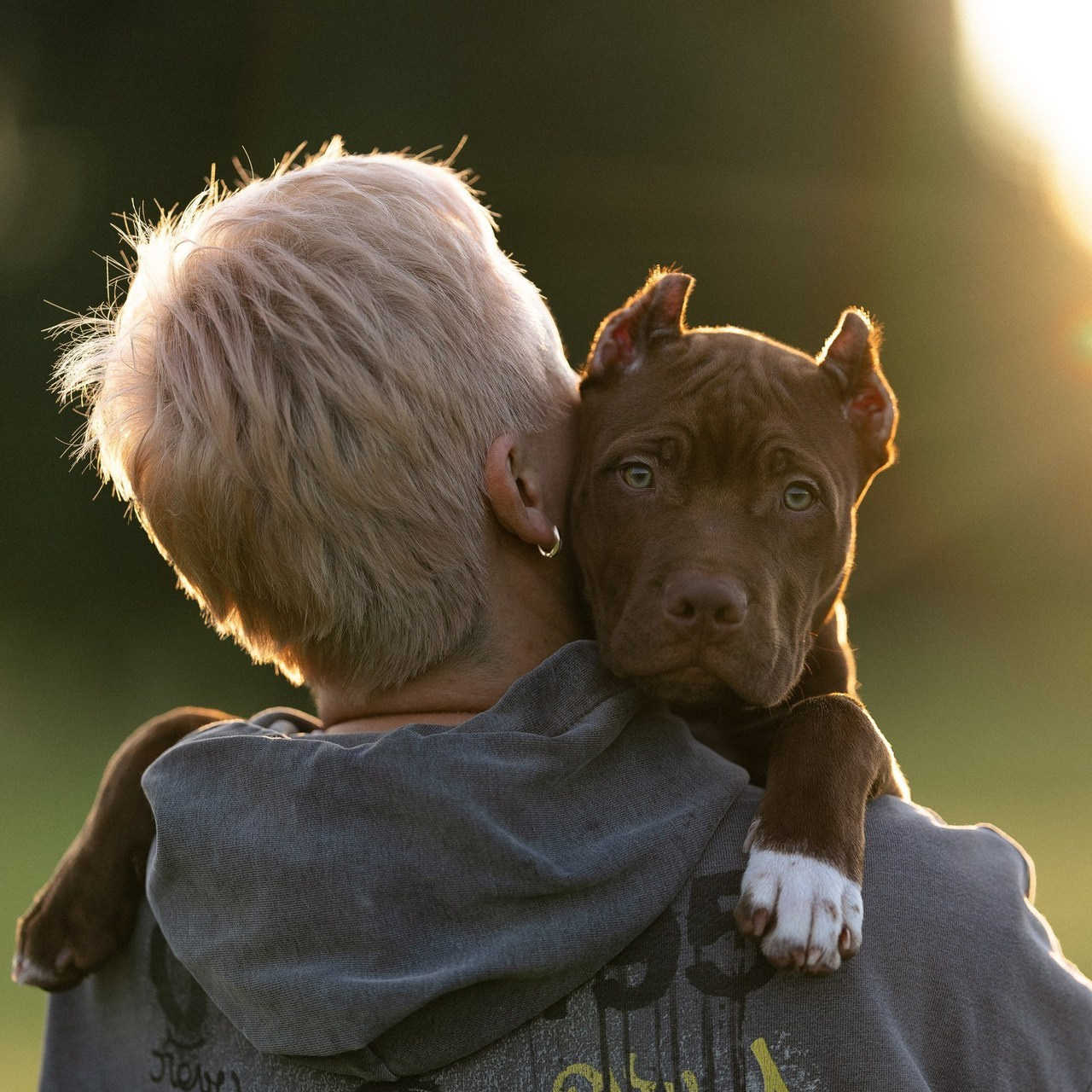 Отзывы. Фотограф и видеограф анималист Аганина Дарья