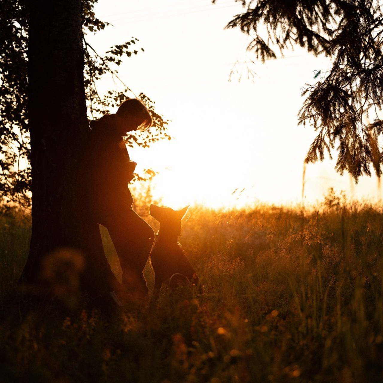 Отзывы. Фотограф и видеограф анималист Аганина Дарья