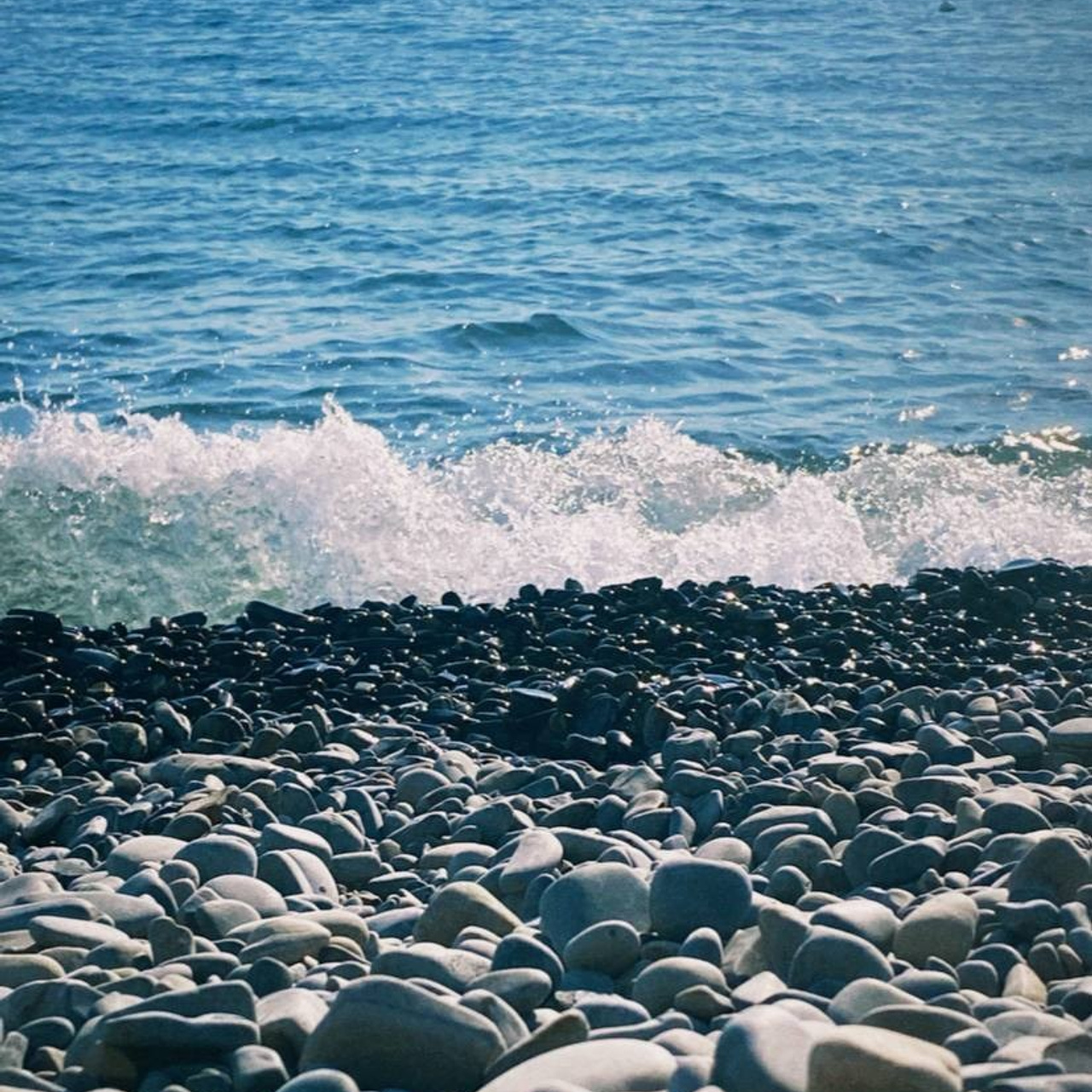 Всероссийский детский центр «Смена». Галерея ПрофАС