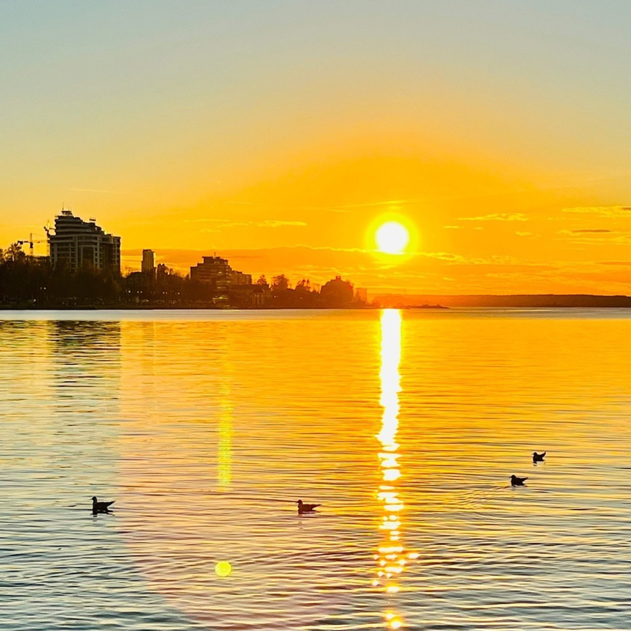 Всероссийский профессиональный конкурс «Арктур». Галерея ПрофАС