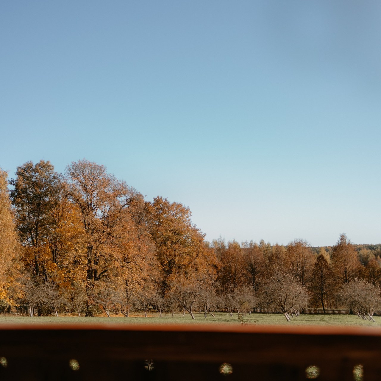Отзывы. Семейный фотограф в Ошмянах Вероника Маргуж