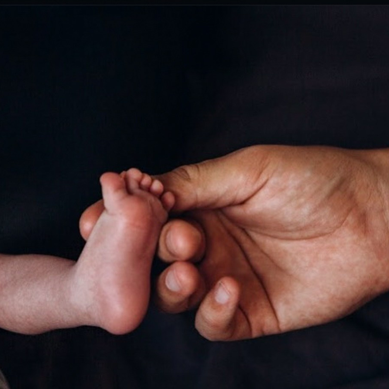 Отзывы. Динара Федорова семейный фотограф