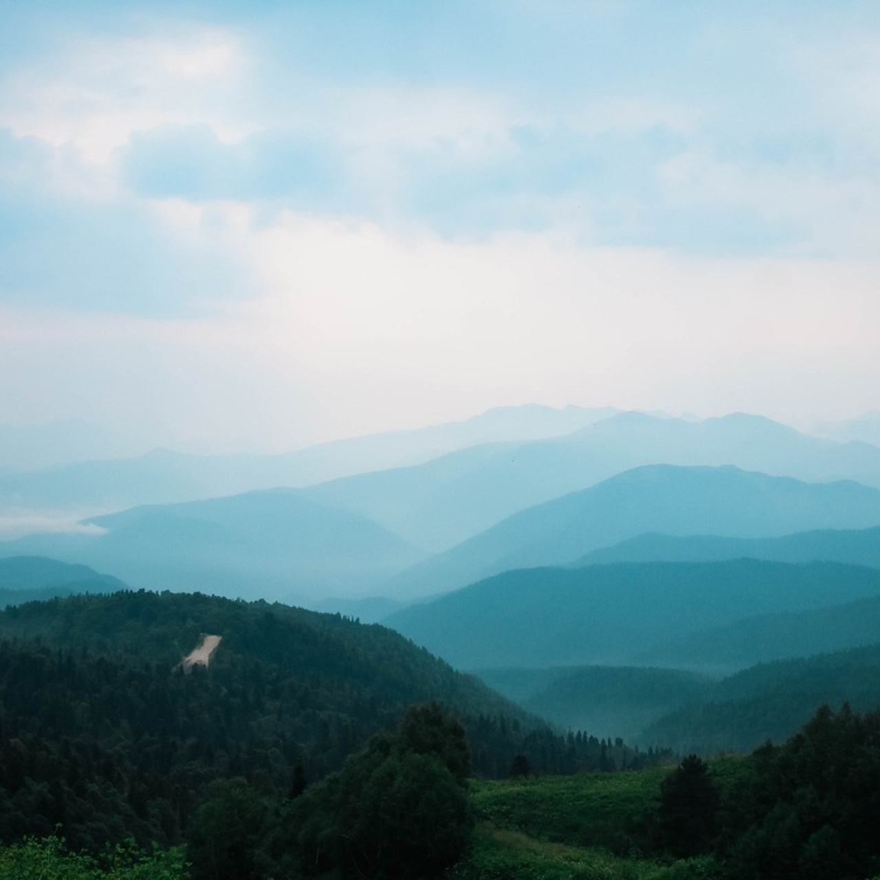 Отзывы. Илья Чемис — Фотограф в Мариуполе