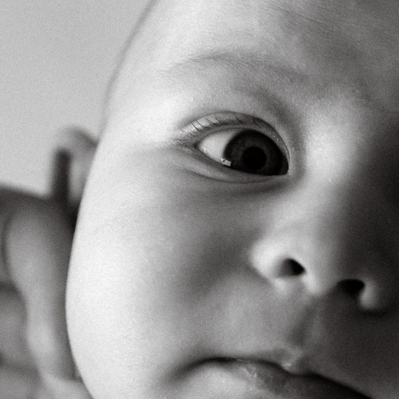 Отзывы. Свадебный фотограф Ярославль, Рыбинск