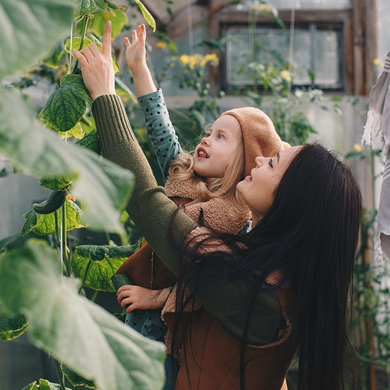 Тепличная история