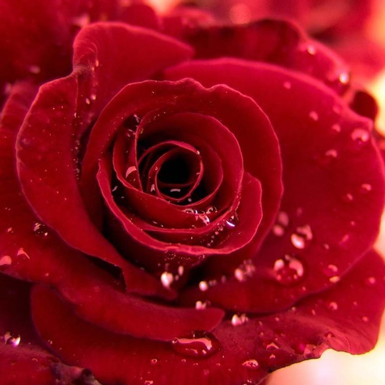 Отзывы о фотографе Дарье Наркевич. Свадебный и семейный фотограф в Уфе Дарья Наркевич