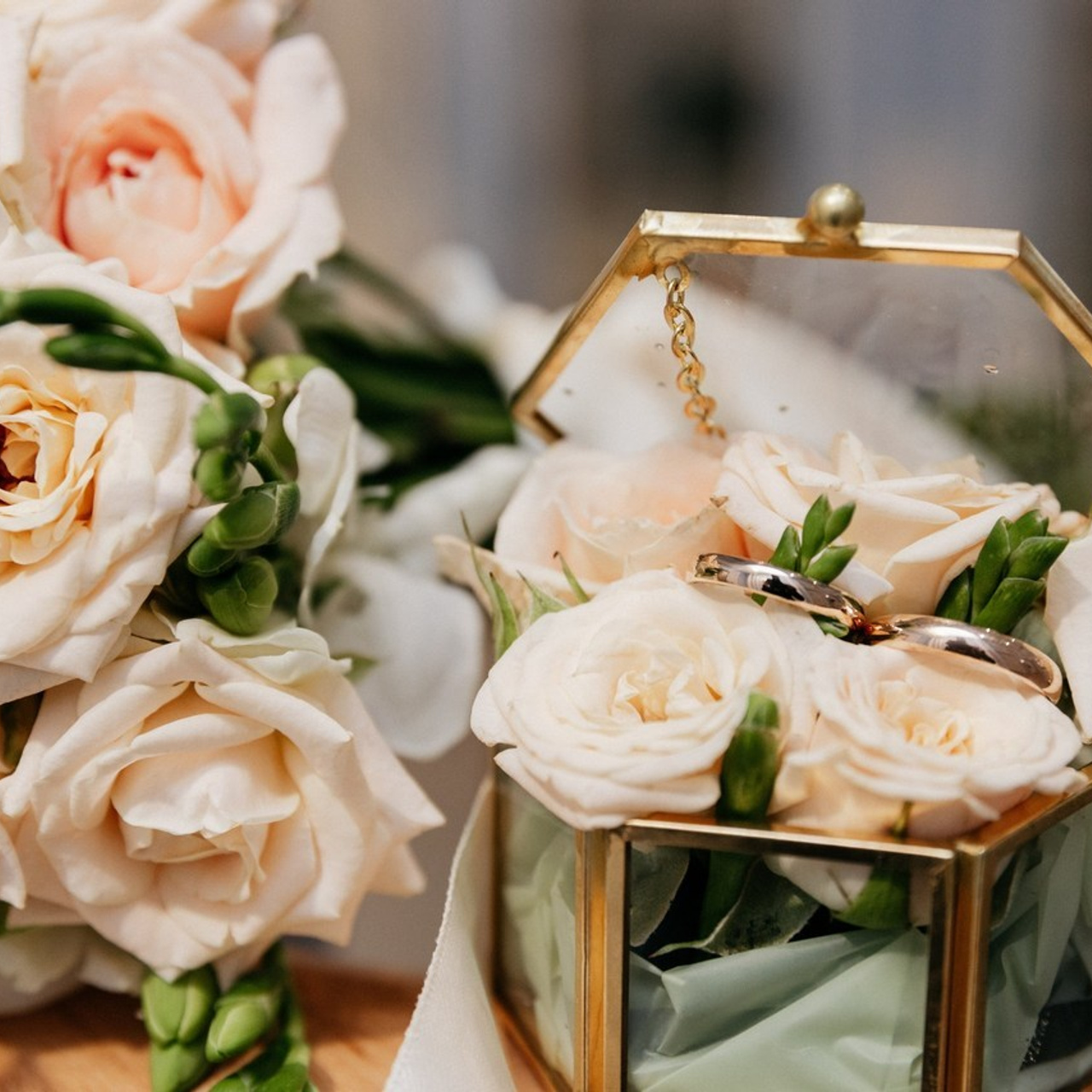 Отзывы. Фотограф в Санкт-Петербурге Александр Королев