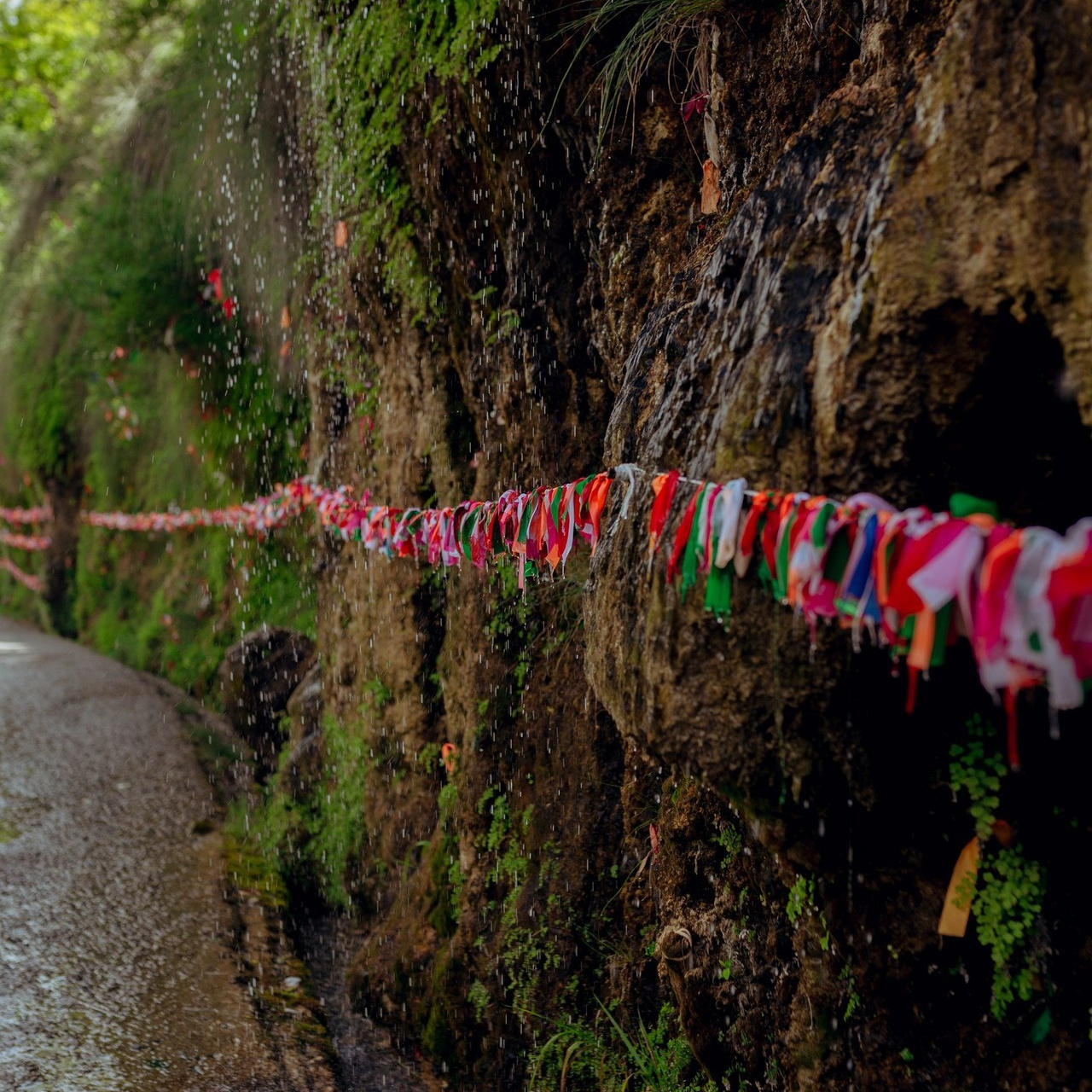 Отзывы. Фотограф в Санкт-Петербурге Александр Королев