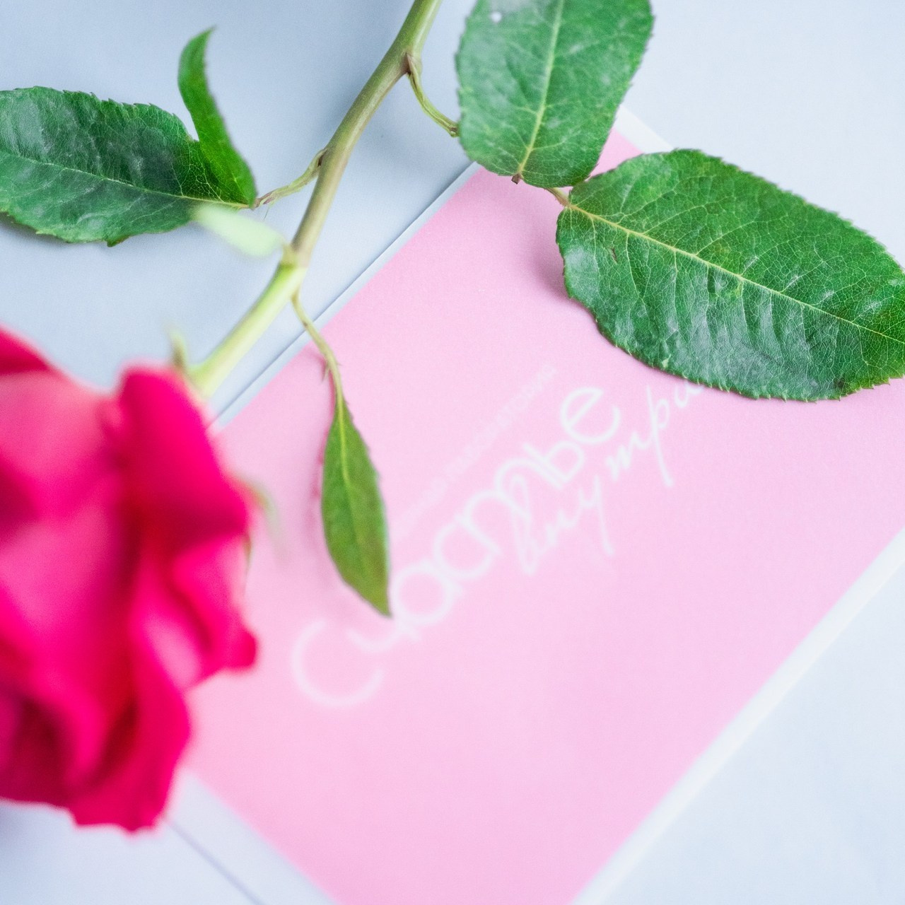 Отзывы. Детский и семейный фотограф в Самаре Евгения Гуть