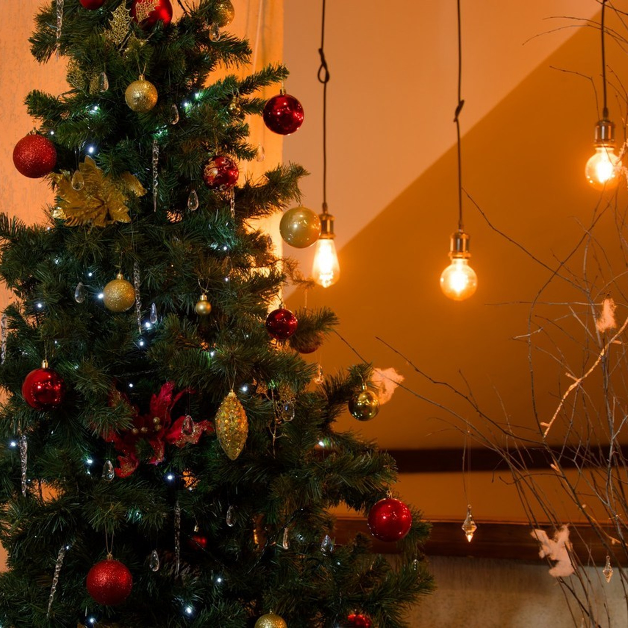 Фотограф спб отзывы. Профессиональный спортивный фотограф в Санкт-Петербурге