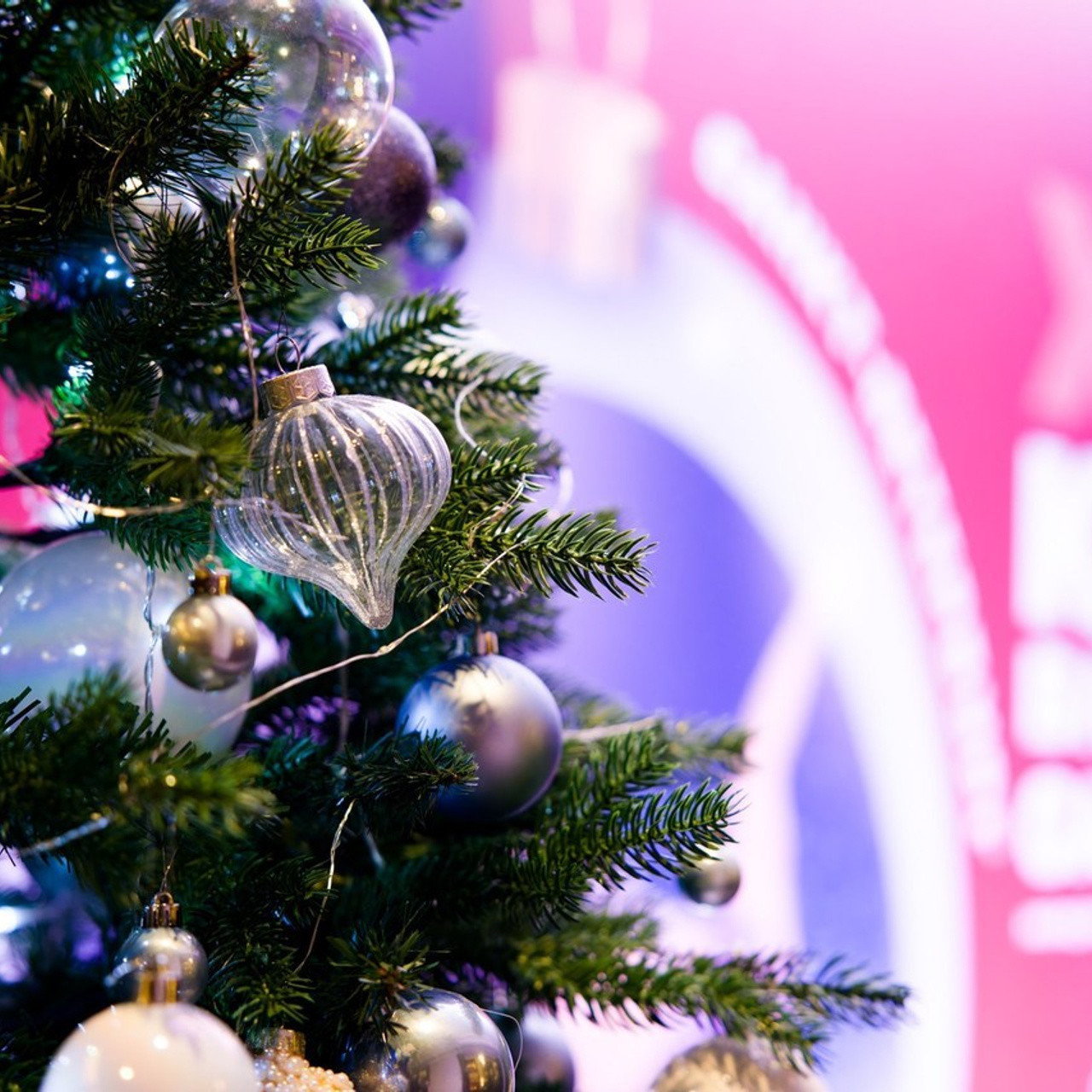 Фотограф спб отзывы. Профессиональный спортивный фотограф в Санкт-Петербурге