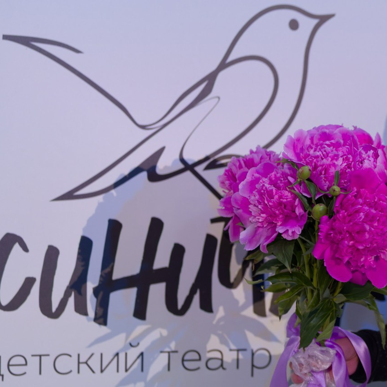 Фотограф спб отзывы. Спортивный фотограф в Санкт-Петербурге Юлия Трофимова