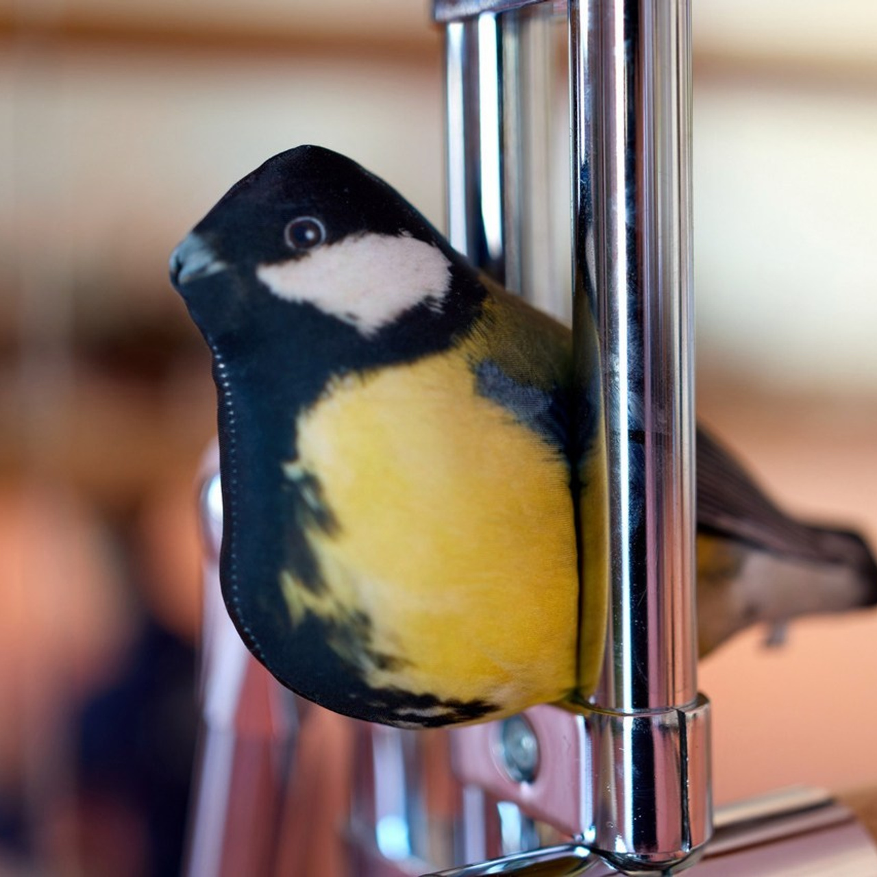 Обучение. Спортивный фотограф в Санкт-Петербурге Юлия Трофимова