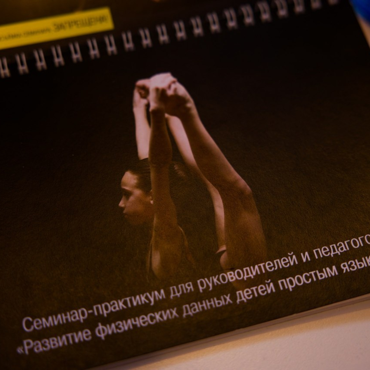 Фотограф спб отзывы. Профессиональный спортивный фотограф в Санкт-Петербурге