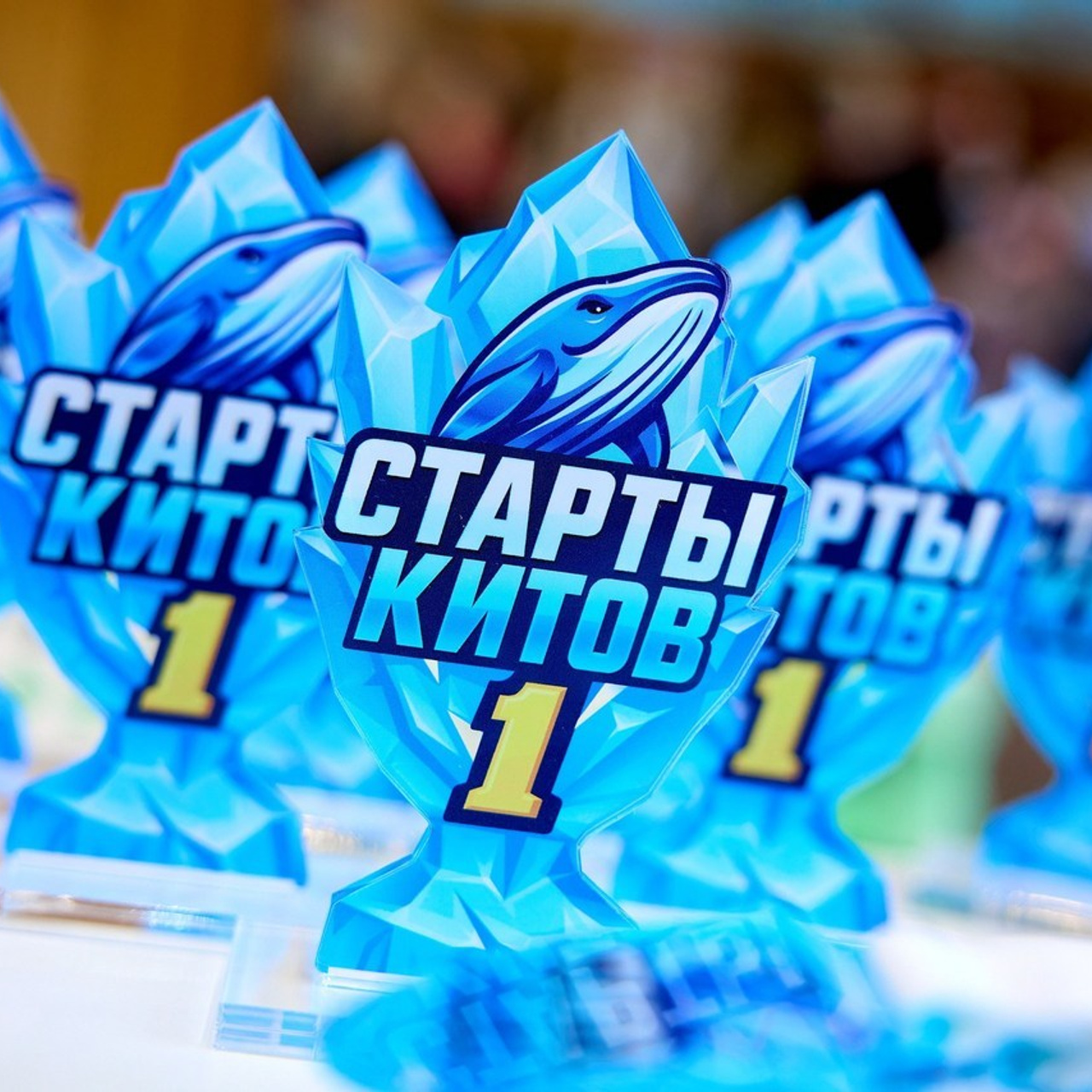 Фотограф спб отзывы. Спортивный фотограф в Санкт-Петербурге Юлия Трофимова