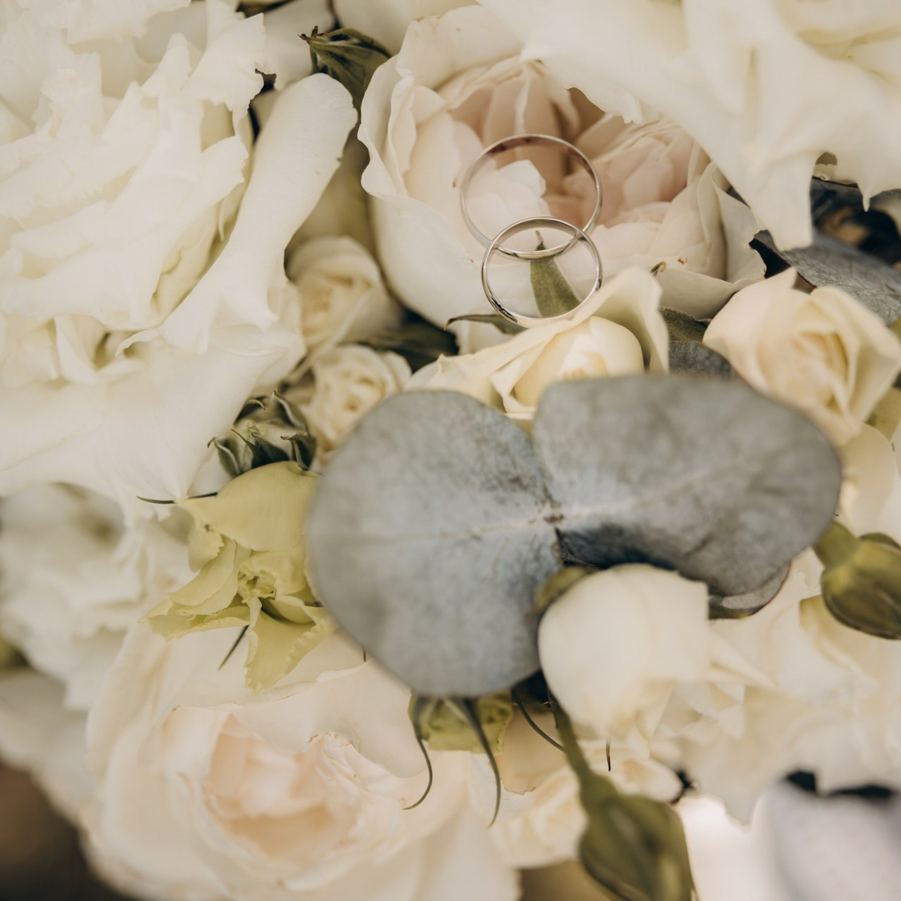 Отзывы. Www.photojuliaukol.ru