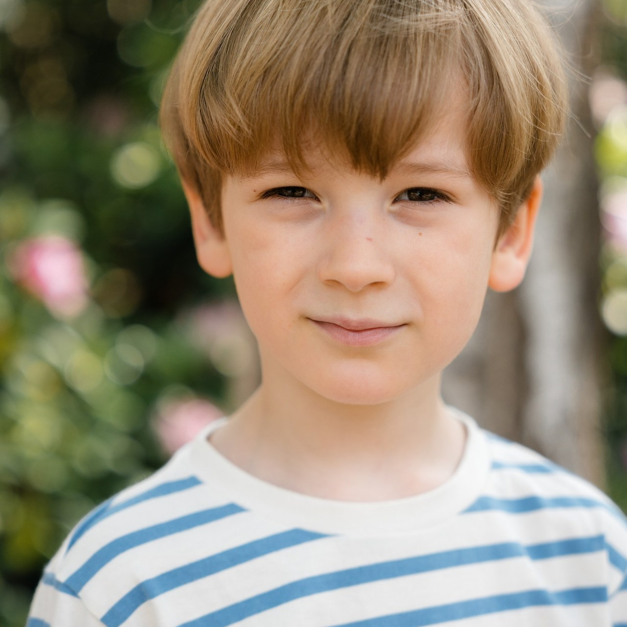 Сomments. Katya Schou