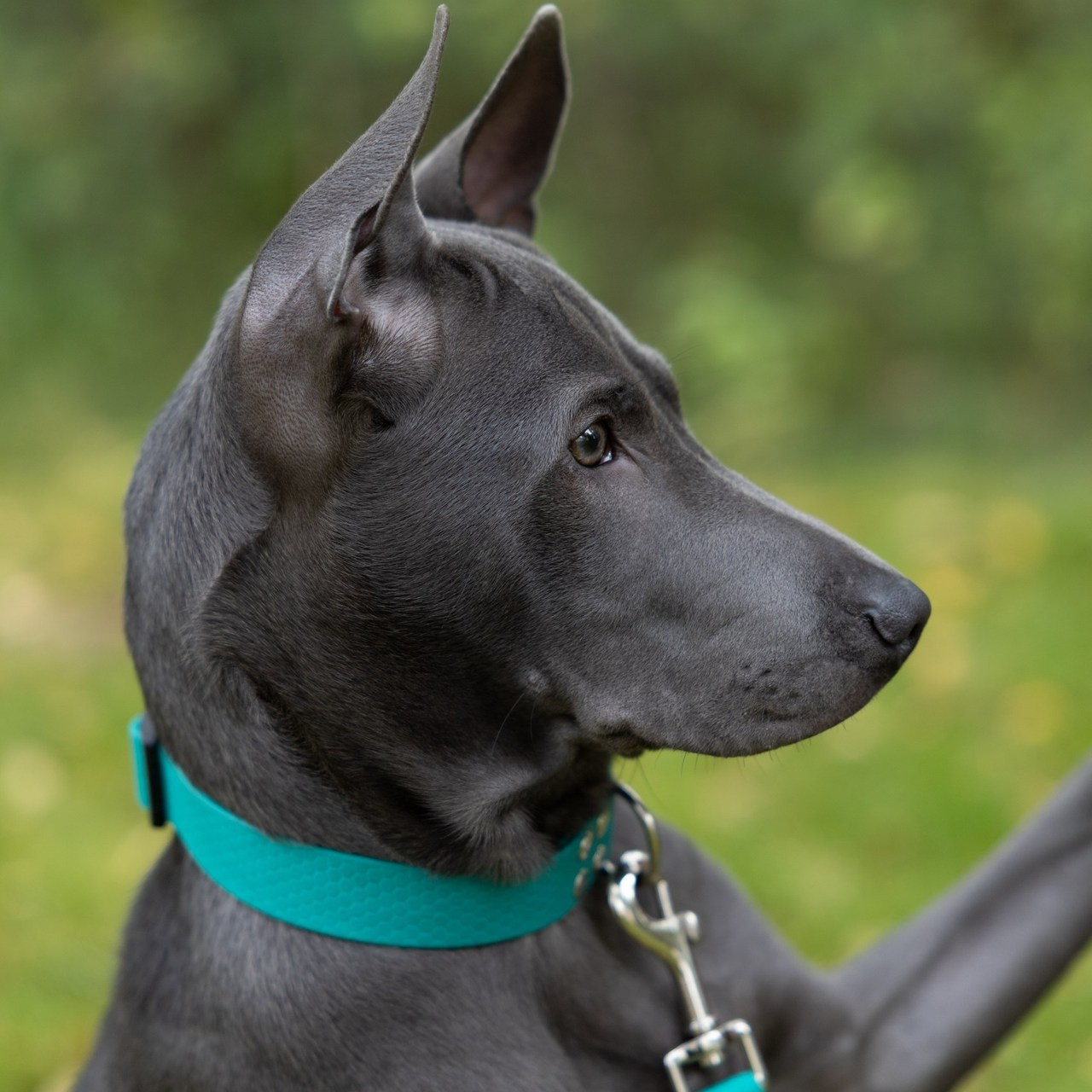 Отзывы. Фотограф в Санкт-Петербурге Оля Флейм