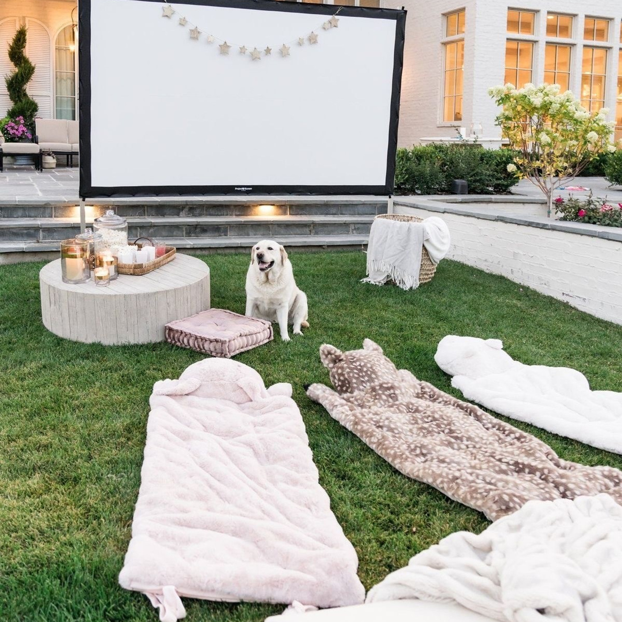 Идеи на свадьбу. Свадебный организатор в Тольятти | Самаре