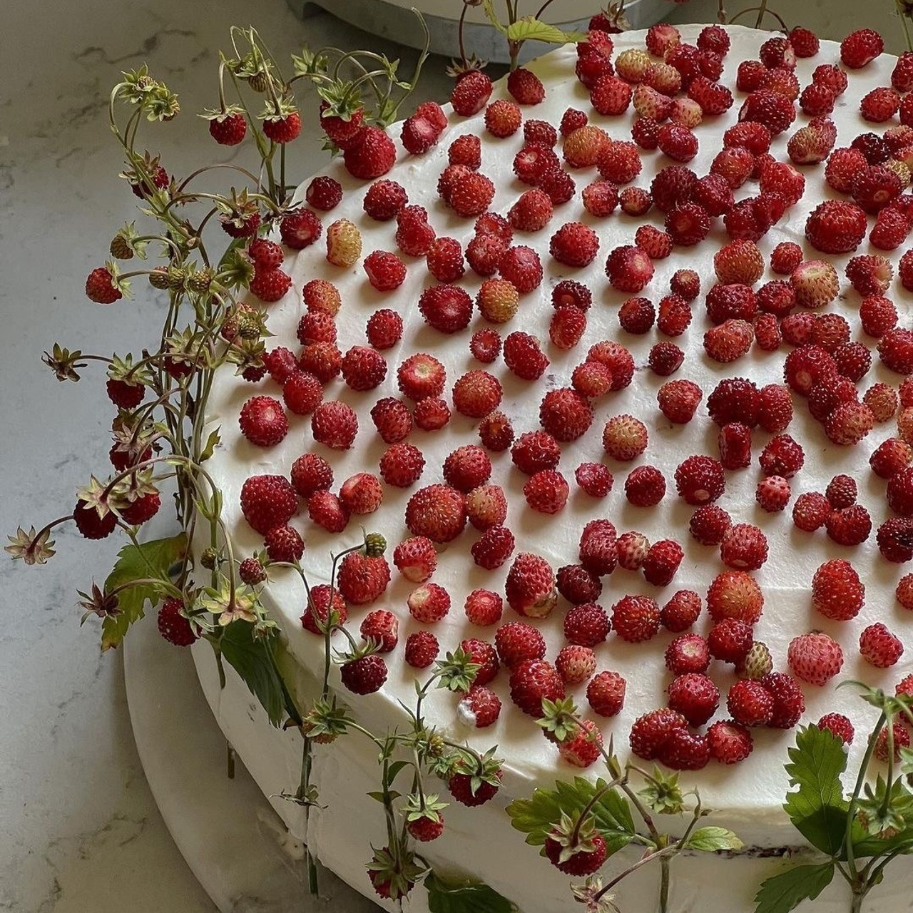 Вечные свадебные тренды. Свадебный организатор в Тольятти | Самаре