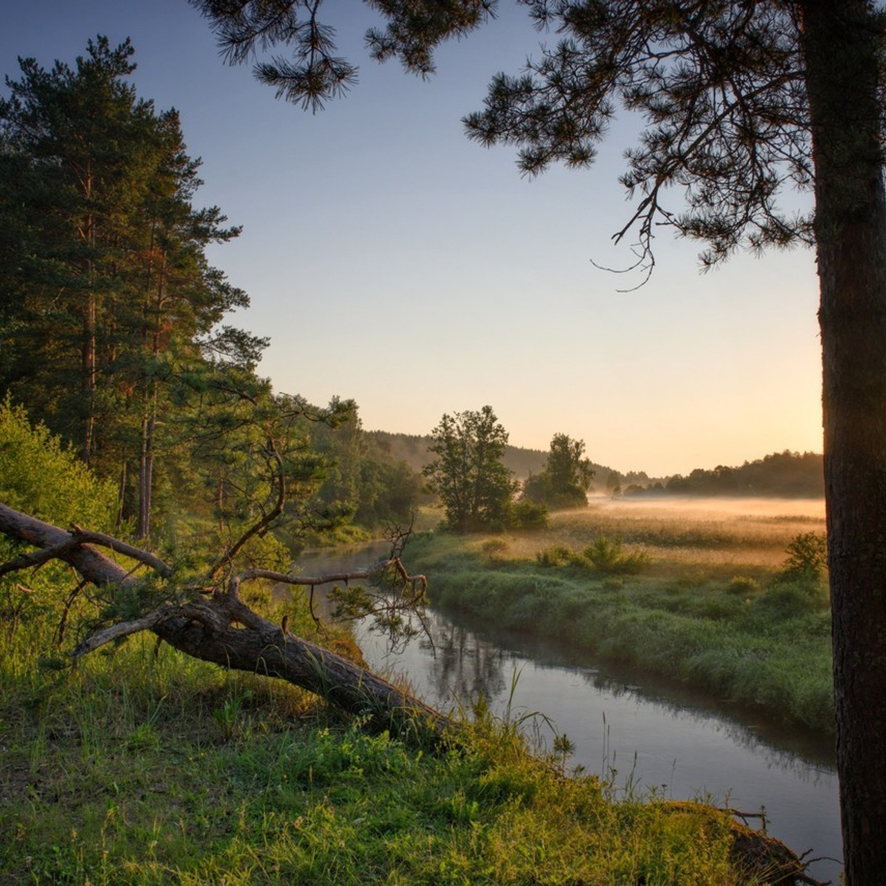 Отзывы. Приходской фотограф и педагог Екатерина Ивлянова