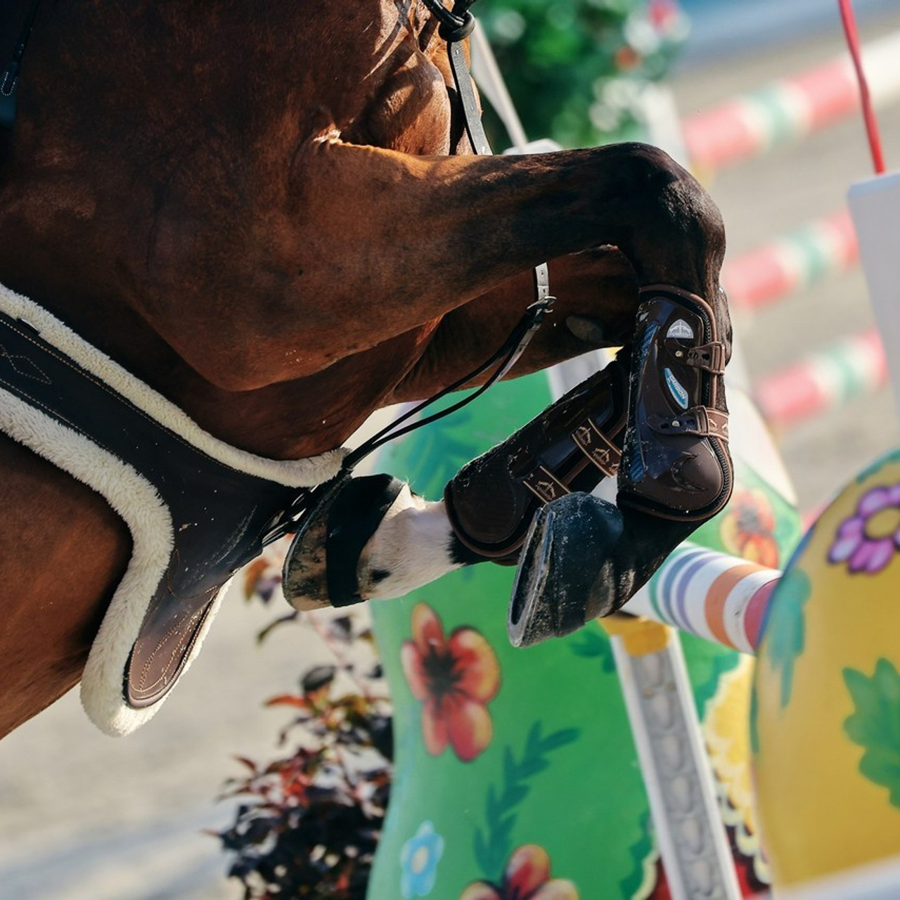 Отзывы. Репортажный фотограф и ретушер в Москве Наталья Алексеева