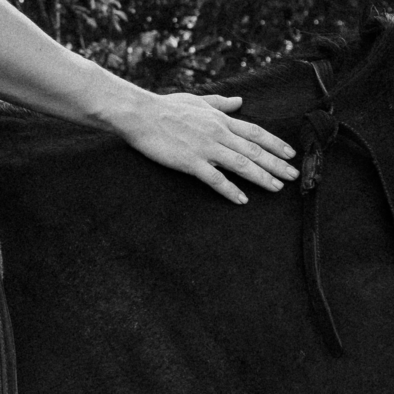 Отзывы. Фотографирую пары и индивидуальные съемки в Алматы Шунько Ирина