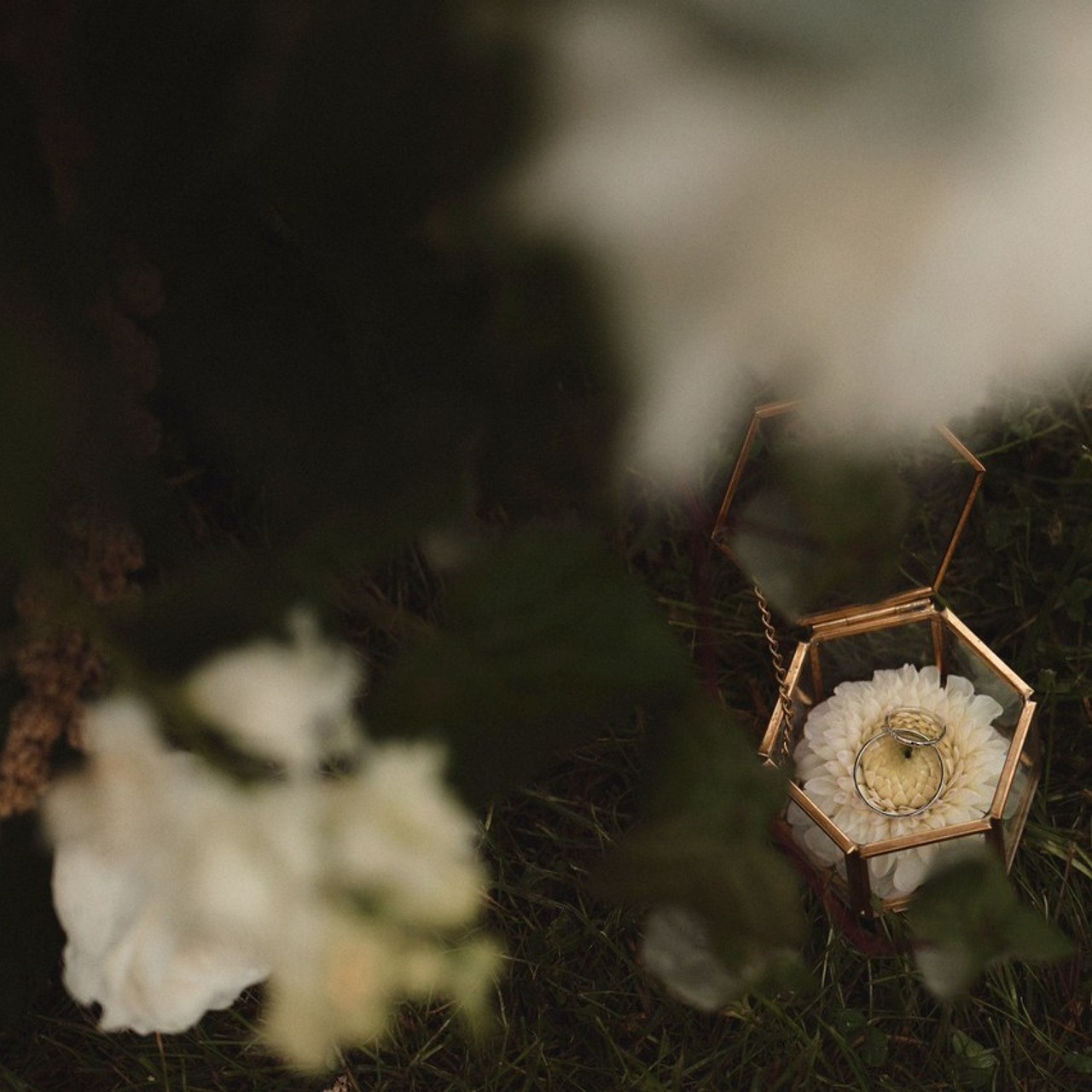 Отзывы. Ваш мультижанровый фотограф Александр Белов