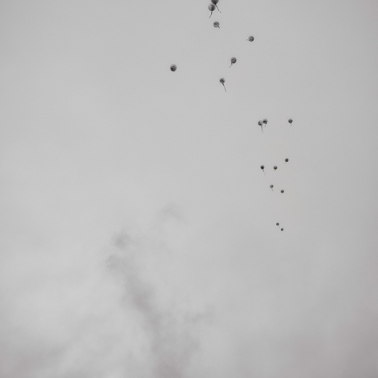 Отзывы. Ваш мультижанровый фотограф Александр Белов