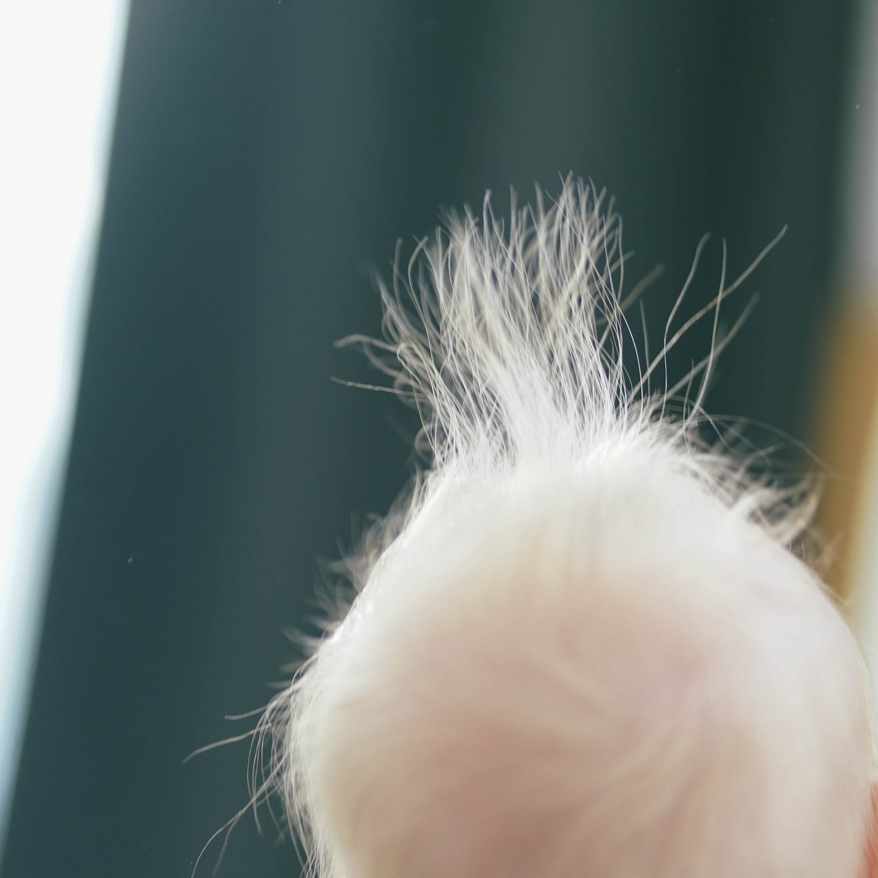 Отзывы. Семейный фотограф из Вологды, там, где резной палисад. Снимаю про любо