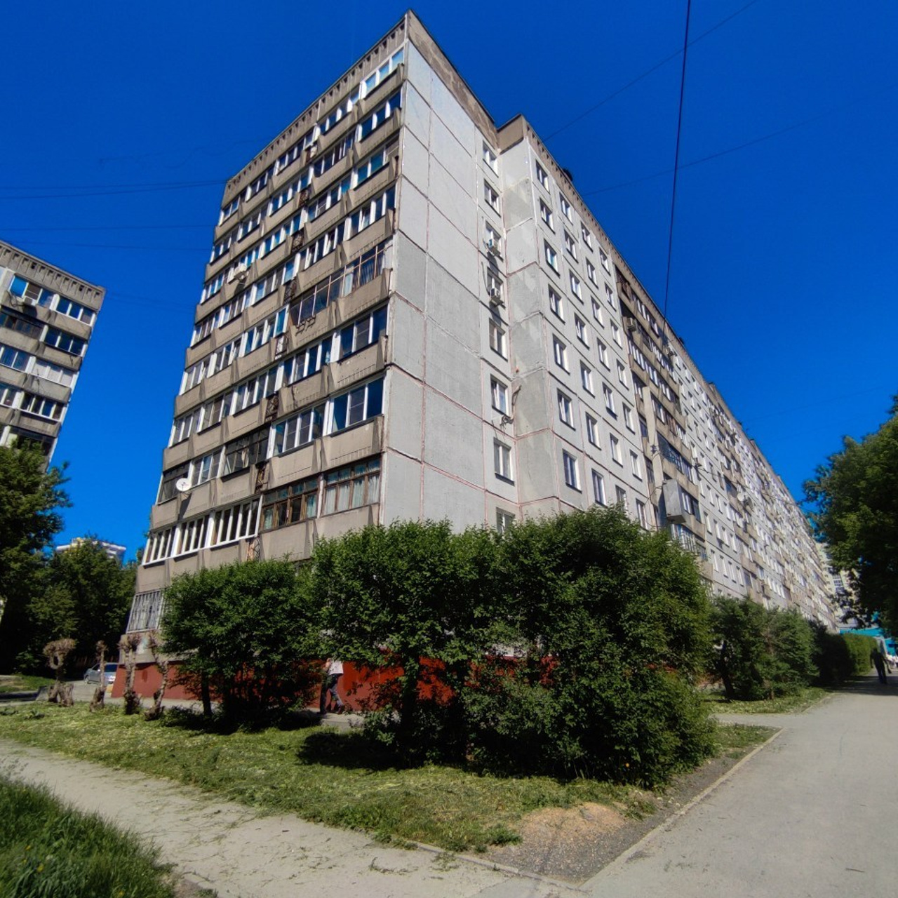 Отзывы о фотографе Ирина Власьева. Семейный фотодуэт Ирина и Николай Власьевы. Фотосессии в Новосибирске