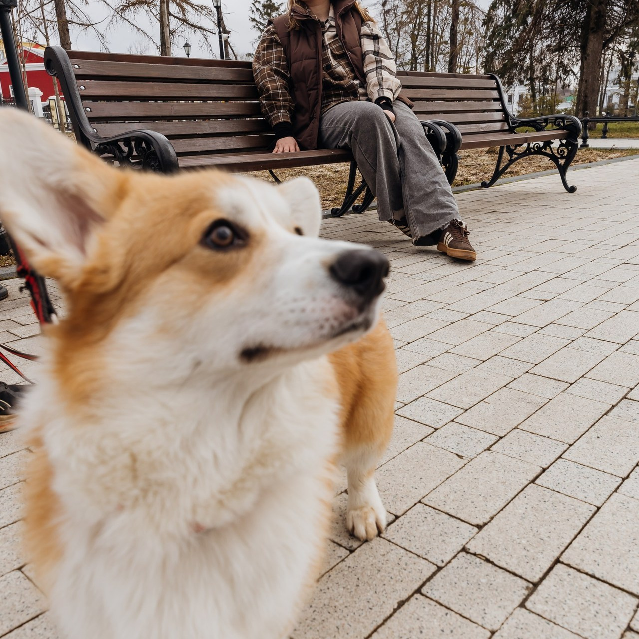 Отзывы. Свадебный и семейный фотограф в Арзамасе Давыденкова Яна