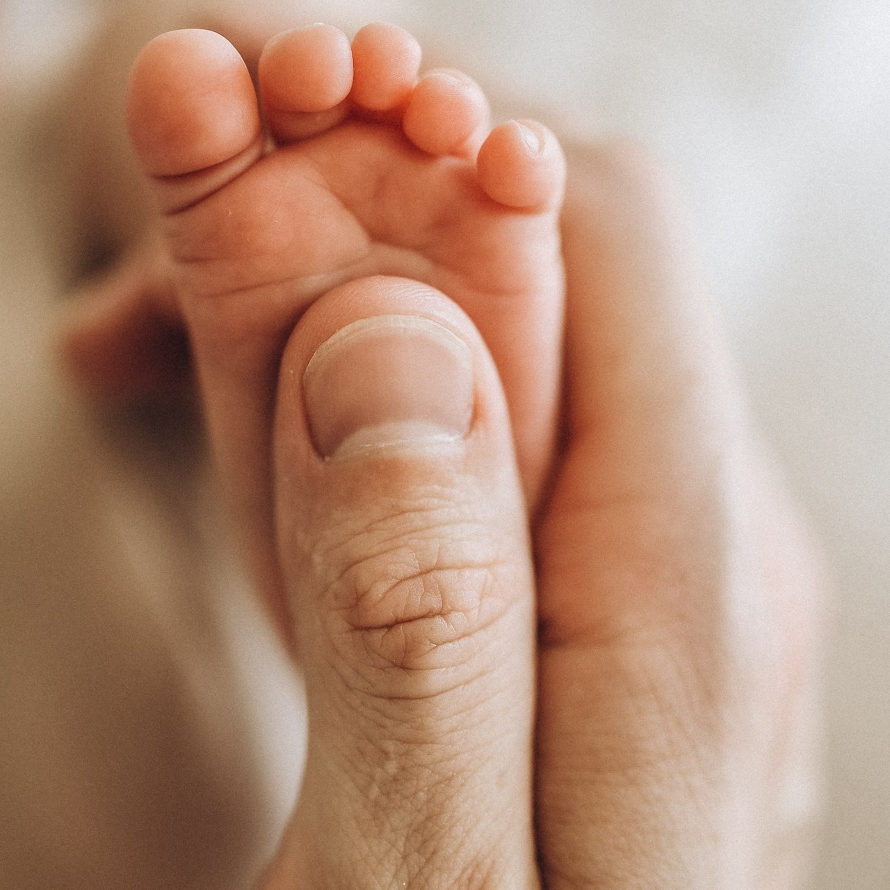 Отзывы. Семейный фотограф и фотограф новорожденных в Санкт-Петербурге Алевтина