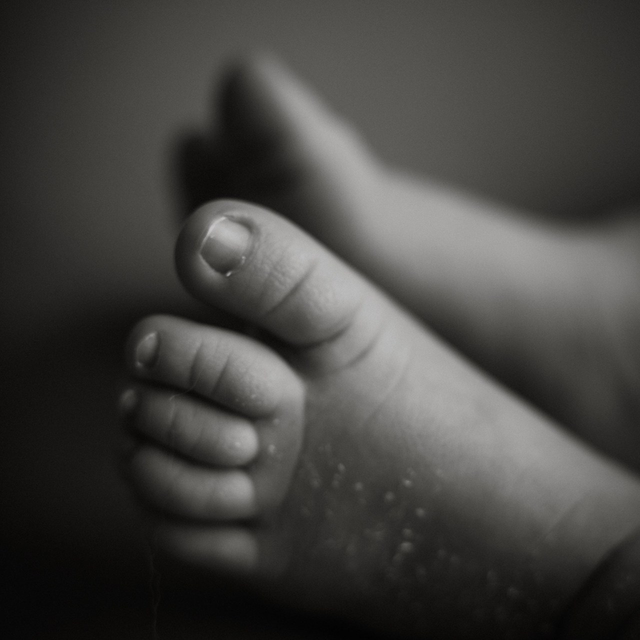 Отзывы. Семейный фотограф и фотограф новорожденных в Санкт-Петербурге Алевтина